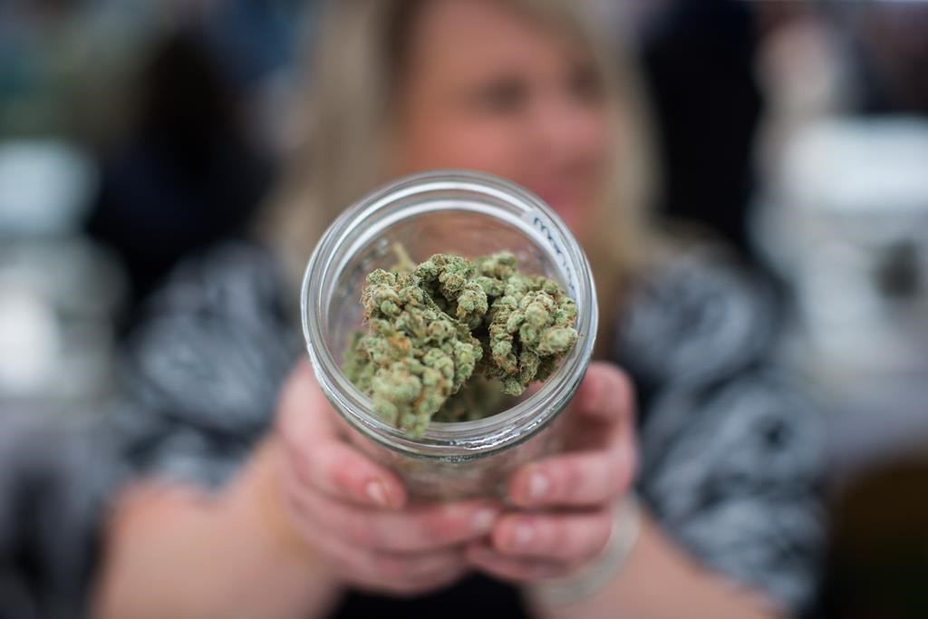 London gets one of first cannabis retail operator licences