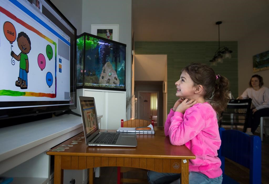 Extended online learning could broaden so-called 'performance gap,' experts say - Vimarsana News